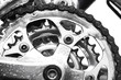 Sprockets