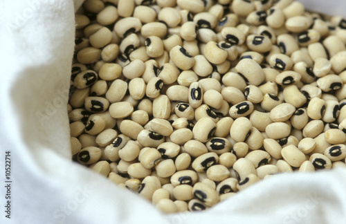 Photo: Beans Beans