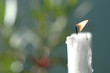 White candle burning, close-up