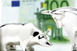 Bull and bear figurine, euro banknote in background, close-up