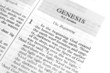 Genesis in the bible