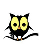 hibou