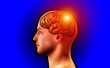Profile Of Man With Brain 122 Profile Of Man With Brain 122
