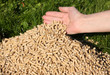 Holzpellets3