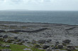 champs,irlande
