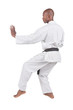african american man in karate suit