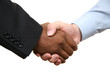 Diverse business male shaking hands. Isolated on white. Diverse business male shaking hands. Isolated on white.