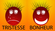 tristesse et bonheur