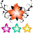 Floral design