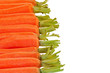 Carrots in a row Carrots in a row