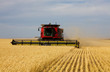 Photo: A farmer combining his field of wheat. A farmer combining his field of wheat.