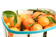 Mandarinen mit Blättern