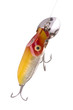 Fishing hook or bait