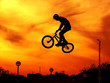 bicycle freestyle