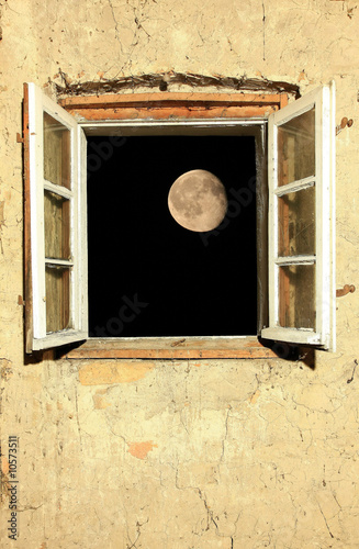 Photo: Moonlight Moonlight