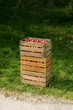 Red Apples in a Box