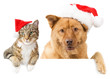 Cat and Dog banner for the holidays Cat and Dog banner for the holidays