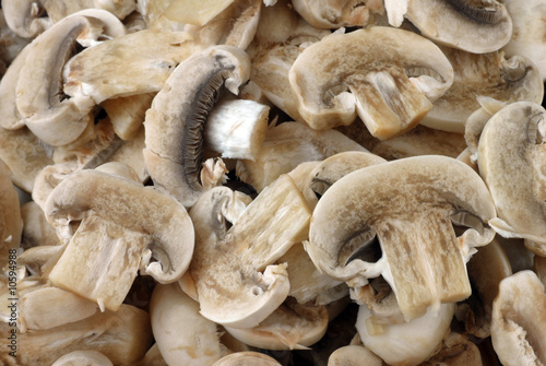 funghi