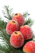 Christmas decoration