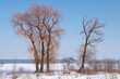 Foto: Winter Scenery Winter Scenery