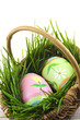 Easter eggs with green grass