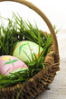 Easter eggs with green grass