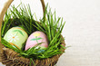 Easter eggs with green grass
