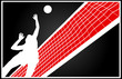 volleyball player volleyball player