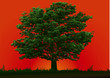 Tree and red sunset