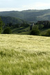 campagne