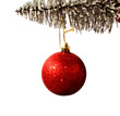 Red Ornament