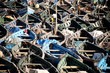 Boats
