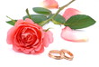 Wedding concept - roses and rings