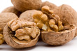 walnut