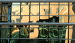 façade vitrée jaune verte