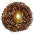 Golden egg