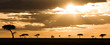 Landscape masai mara