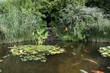 jardin aquatique jardin aquatique