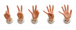 isolated hand collection