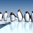 penguins