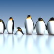 Fun penguins