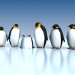 Fun penguins