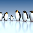 Fun penguins