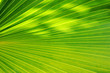 greenline case II greenline case II