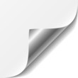 Vector white page corner Vector white page corner