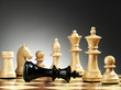 A game of chess comes to an end. The king is checkmated..