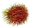 Rambutan, exotische Frucht