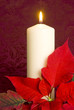 Christmas Candle and Poinsettia Christmas Candle and Poinsettia