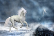 white unicorn