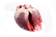 human heart isolated